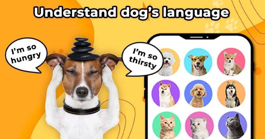 Can You Really Understand Your Petās Words?
